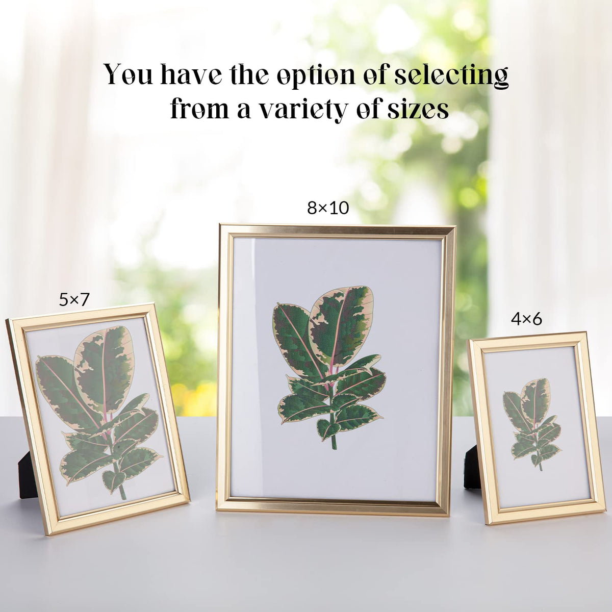 euwazram 8x10 Picture Frame - Set of 5, Matte Gold 8 x 10 Photo Frame with High-Definition Glass, Modern 8x10 frame for Tabletop or Collage Wall, Perfect Christmas Frame