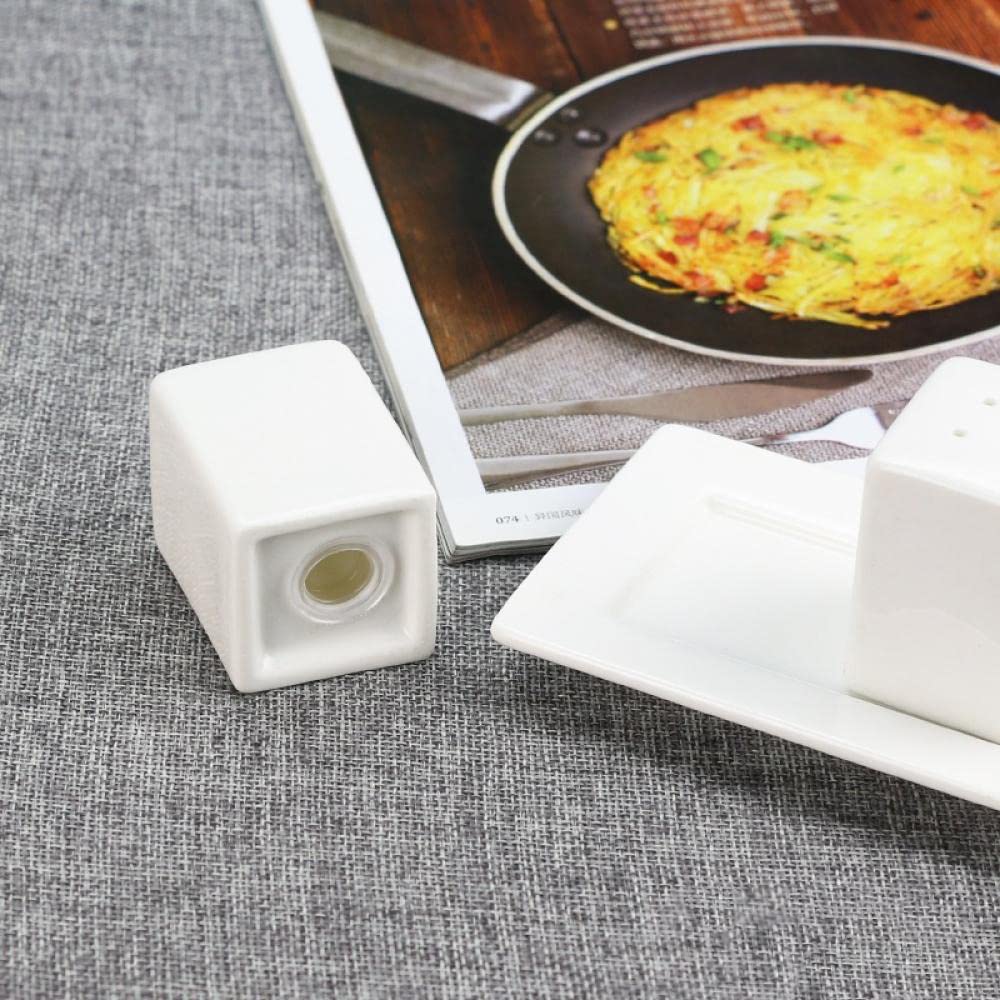 Gaolinci White Porcelain Salt & Pepper Shakers, Salt Shaker Set with Tray