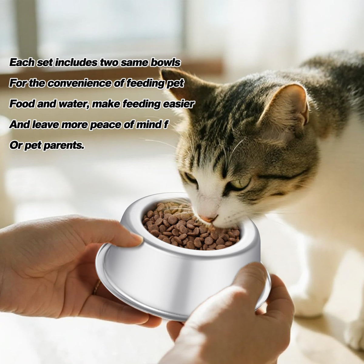 Premium Stainless Steel Pet Bowls with Cute Paw Design, Non-Slip Dog & Cat Food Water Bowls, Durable & Easy-to-Clean Feeding Dishes for Small/Medium Pets, Set of 2 pet-Bowls, Raised-pet-Bowls
