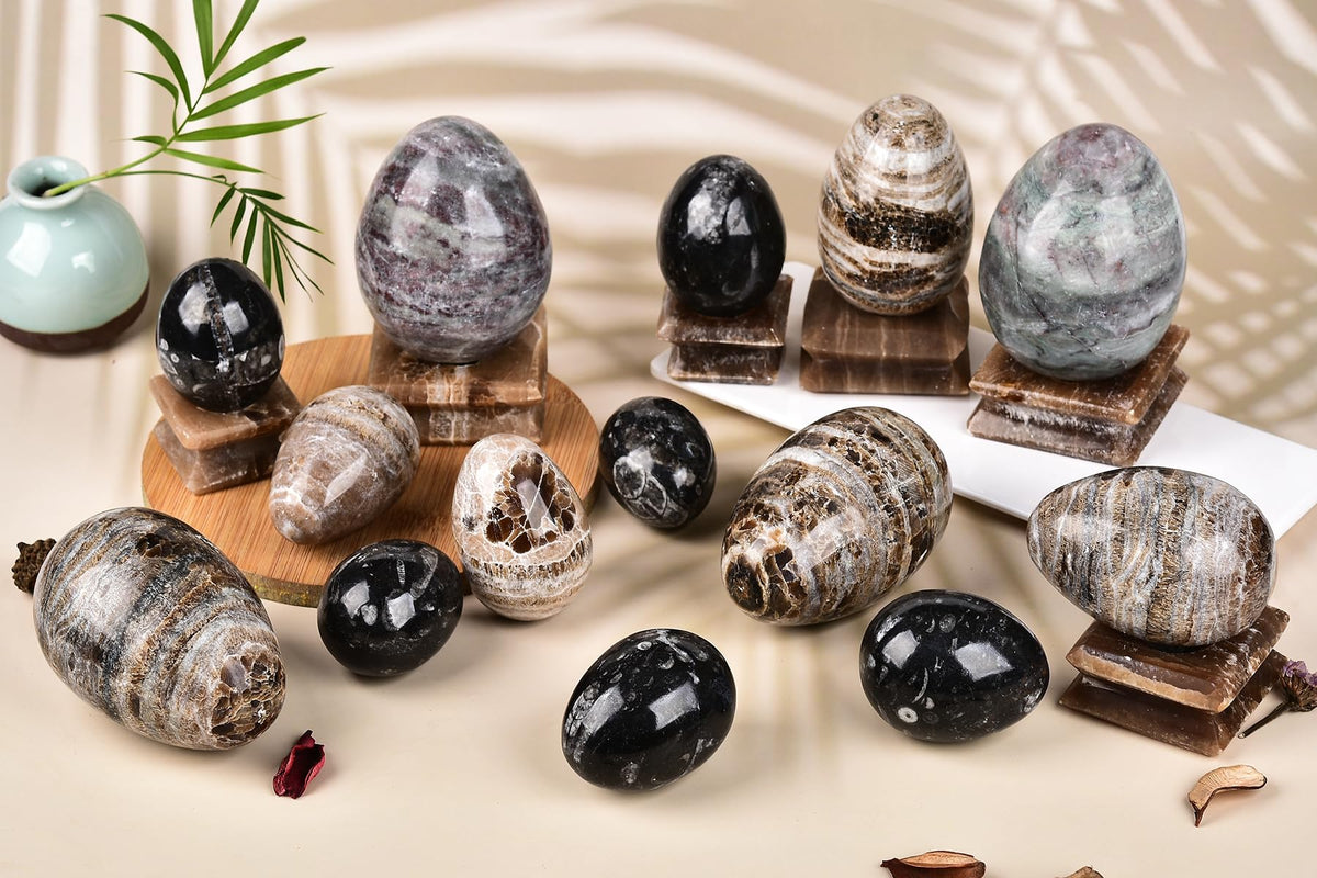 AMOYSTONE Orthoceras Stone Egg Black with Natural Stone Base for Healing Reiki Home Decors Medium, Single Height 2.5-3"