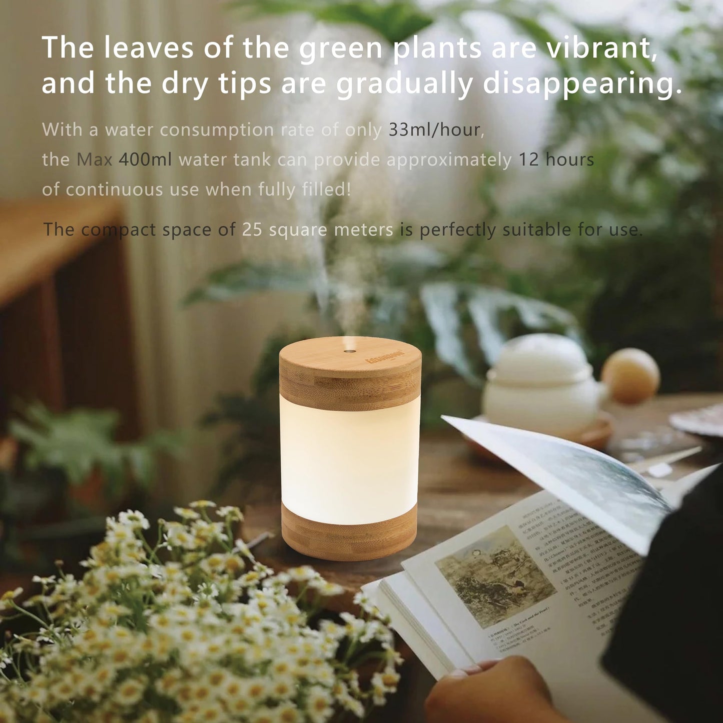 Bamboo Ultrasonic Mini Humidifier, 400ml Quiet Desktop Humidifier with Dual LED Night Light, USB-C Powered, Auto Shut-Off, Portable Small Room Air Moisturizer for Bedroom, Desk, Office & Travel