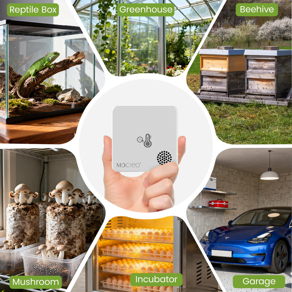 MOCREO WiFi Room Thermometer Hygrometer, Remote Email App Alert, 2 Years Data Export, 2 Years Battery, No Subscription, 3 Smart Temperature Sensors for RV, Greenhouse, Vacation Home, HVAC