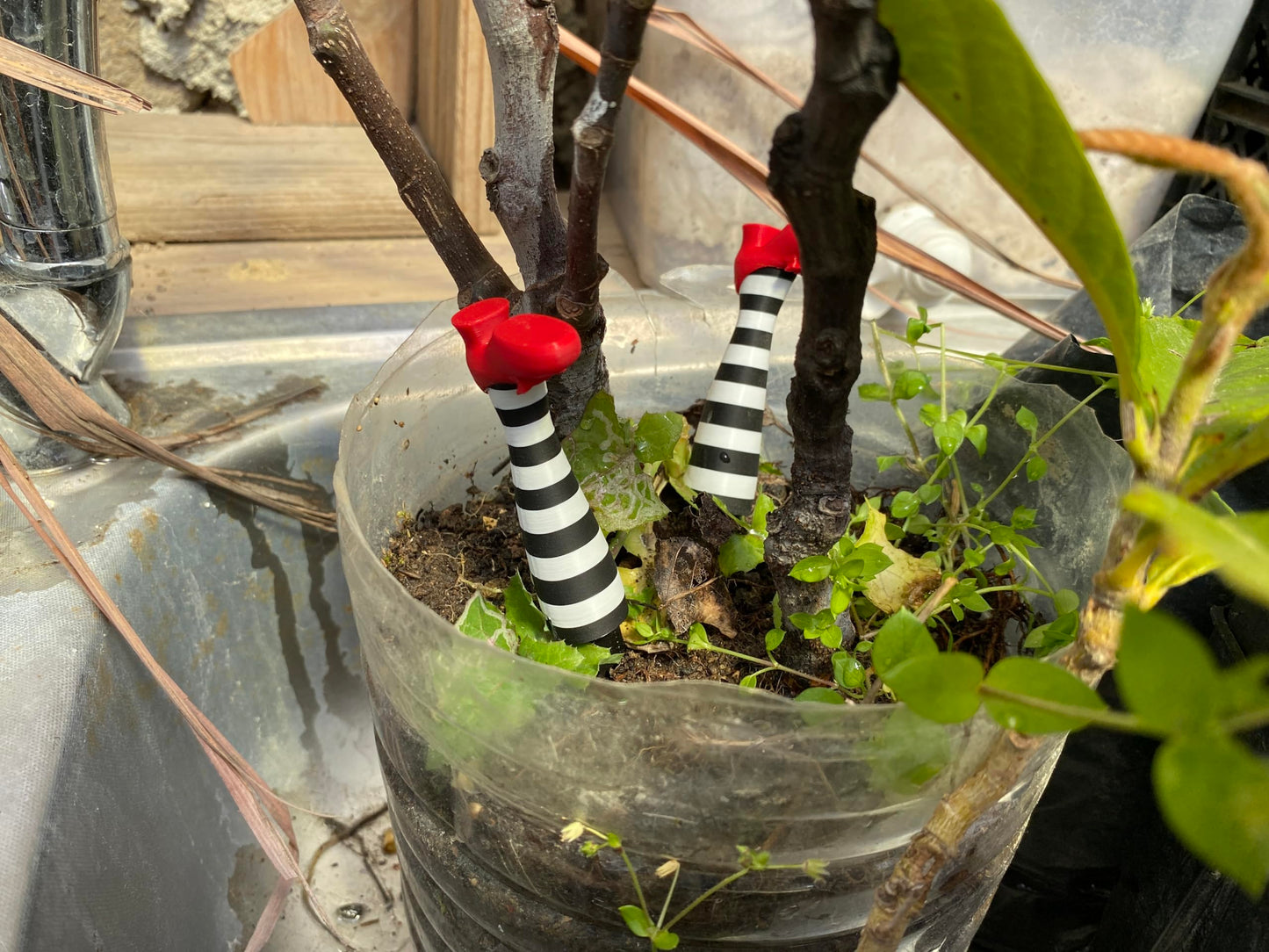 Wicked Witch Legs Mini Plant Pot Decor ā Fun Halloween Planter, Spooky Home Decor, Unique Planter for Indoor & Outdoor Plants