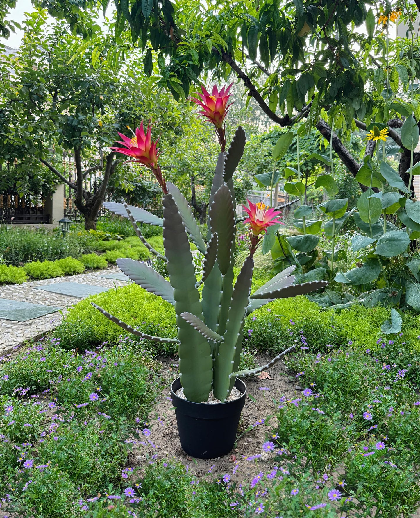SUNPRAIRIE 33 Inch Large Artificial Cactus with Magenta Flowers in Pot with Natural Gravel. Satin Finish Leaves with Real Look and Feel. Outdoor and Indoor Faux Plants.