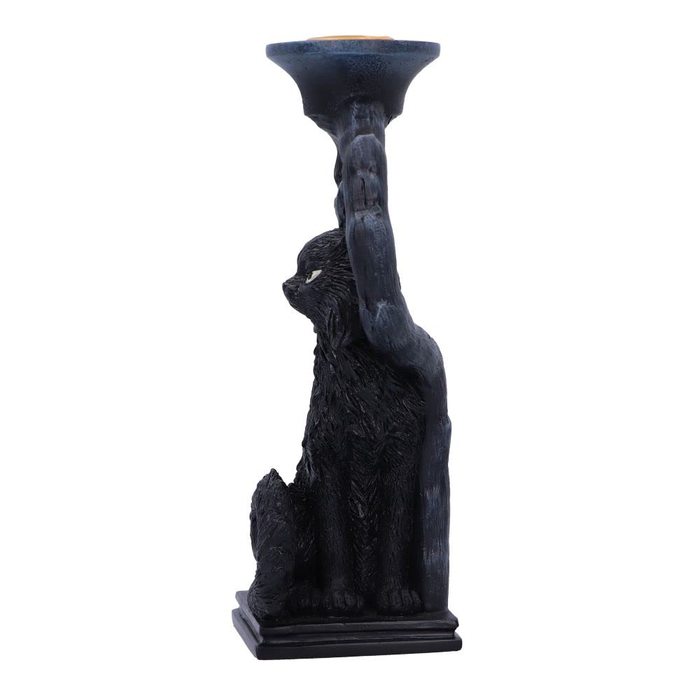 Nemesis Now Salem Black Cat Candlestick Holder, 20cm