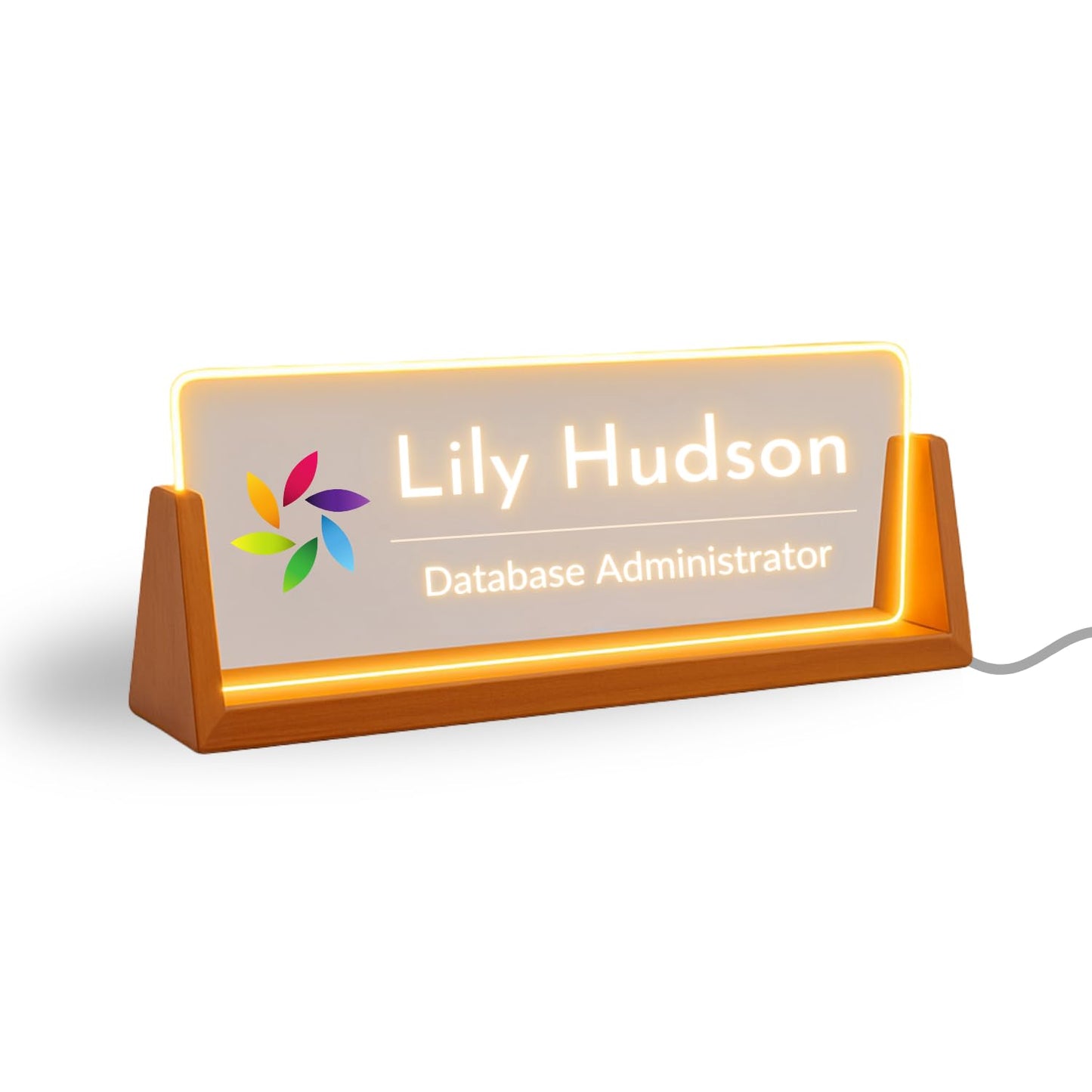 Personalized Name Plate for Office Desk - Business Desk Gift with LED Stand Elegant Office Decor for Coworkers Employees Work Gift for Team Members, Valentines Day