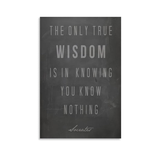 Minimalist Quote The Only True Wisdom Knowing You Know Nothing Canvas Printing Wall Art Prints Wall Decor Posters Scandinavian Bohemian for Living Room Bedroom Office Study 16x24inch(40x60cm)