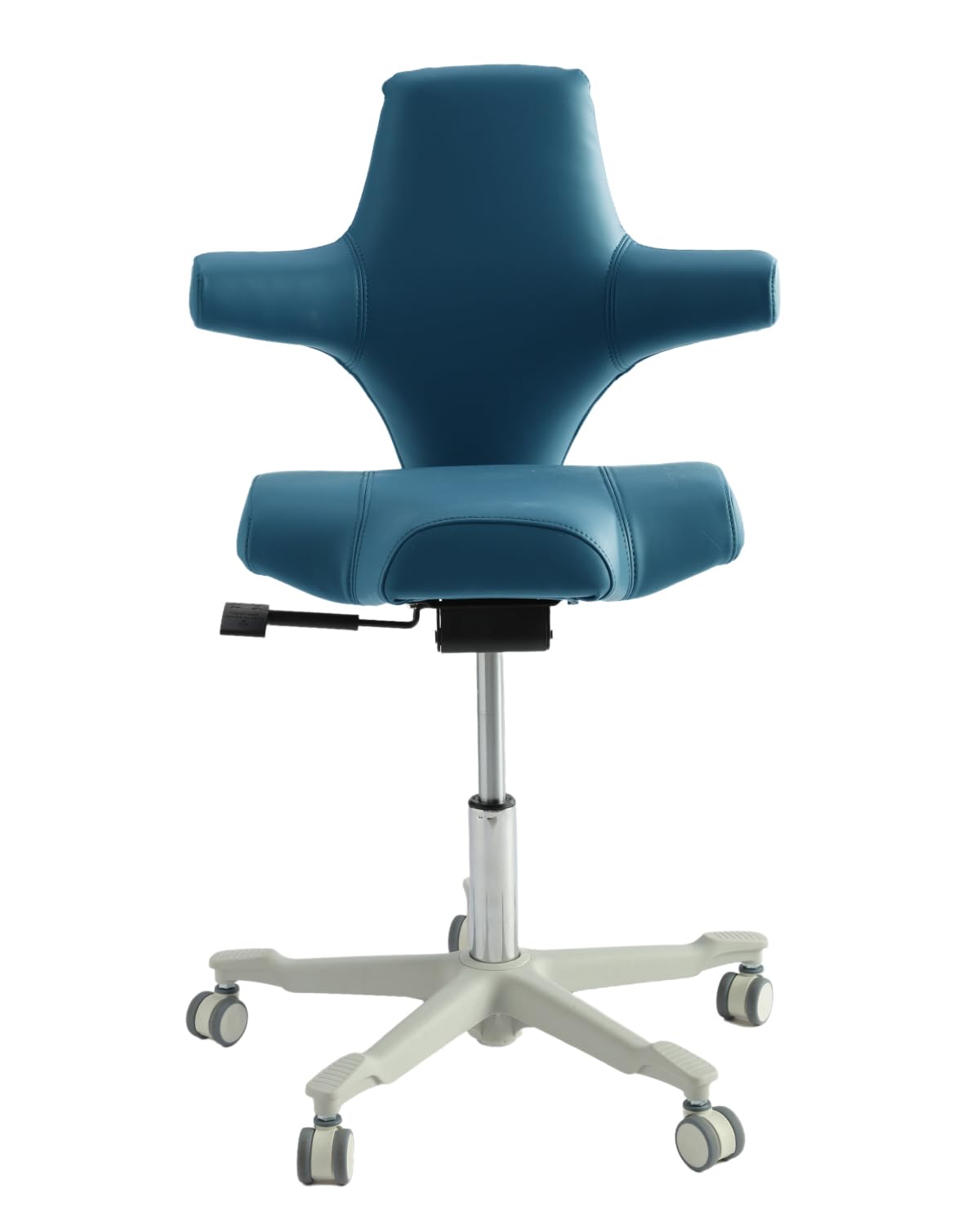 LIMKOMES Ergonomic Desk Chair with Multi-Functional Sitting Posture, Executive Chairs for Home Office Comfortable Lumbar Support (Blue)