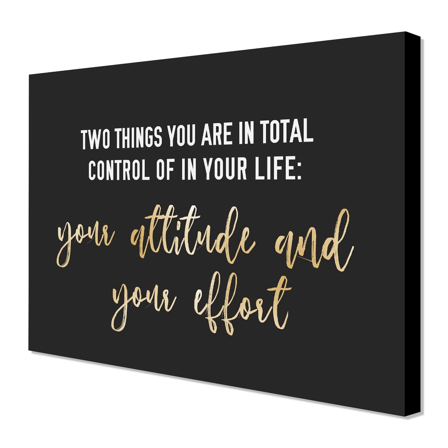 WOWGOOMO Entrepreneur Motivational Canvas Wall Art Inspirational Quotes Wall Art Control Your Attitude and Effert Canvas Print Framed for Home Office Workplace Classroom Bedroom Wall Decor 12"x16"
