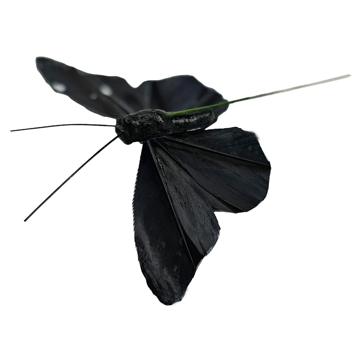YCHTEWY- 12 pcs Black Butterflies Party Decorations Halloween Decoration Home Decoration…