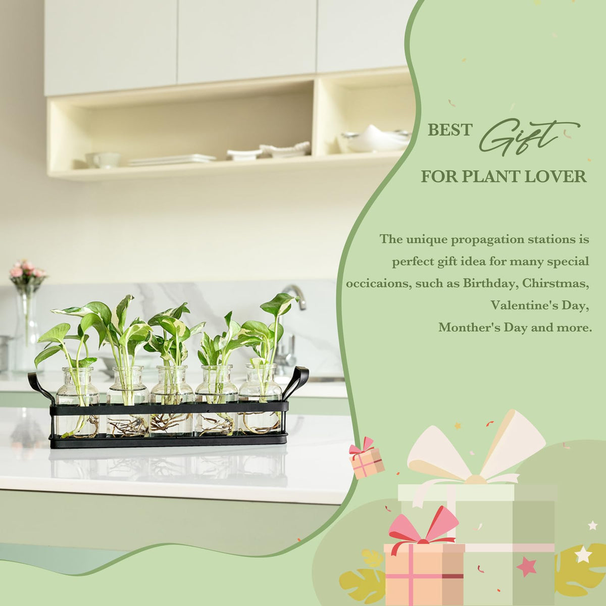 Mkono Propagation Stations with Metal Stand, Desktop Plant Terrarium Glass Planter Vase for Hydroponic Plants Flower Cutting Home Office Garden Decor Plant Lover Gifts, 5 Jars