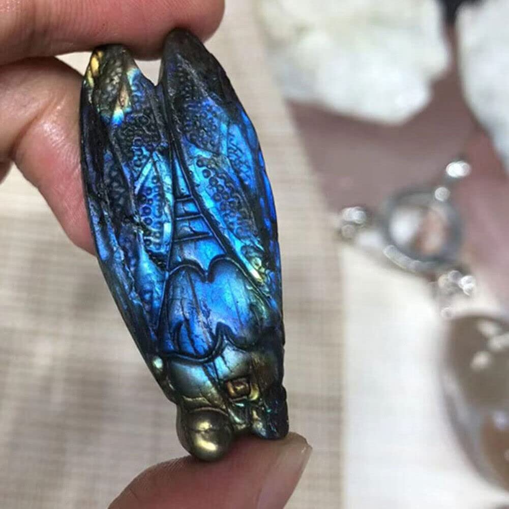 TEAMWILL Natural Labradorite Hand Carved The Cicada Quartz Crystal Healing 1PC