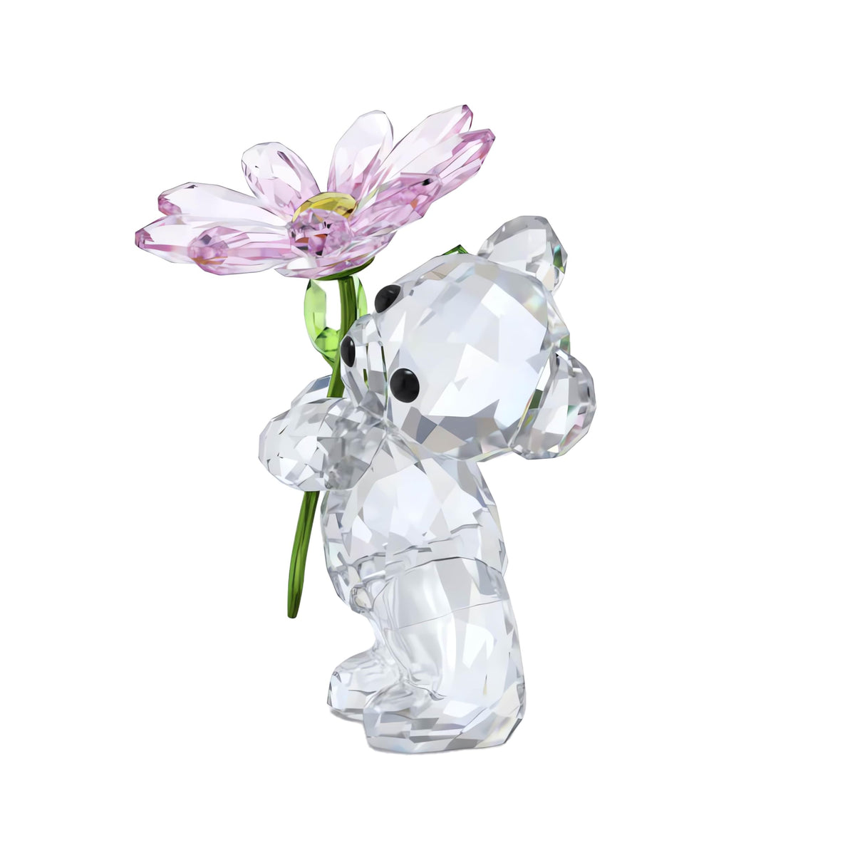 Swarovski Kris Bear A Daisy for You