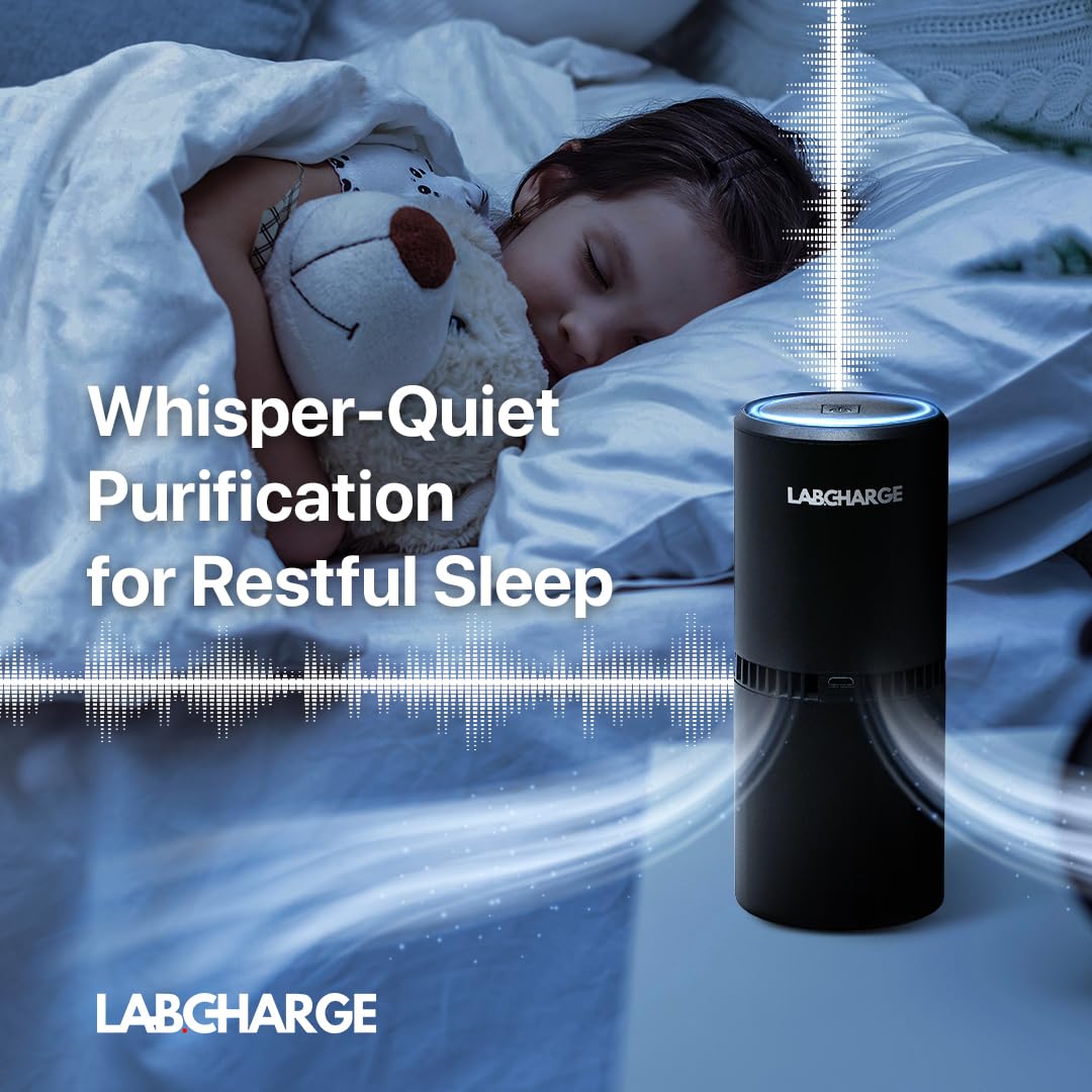 LabCharge Small Ionic Air Purifier for Home & Bedroom – Silent HEPA Filter – Covers 250 Sq Ft - Free Cleaner – Compact & Black Design - Pack of 5
