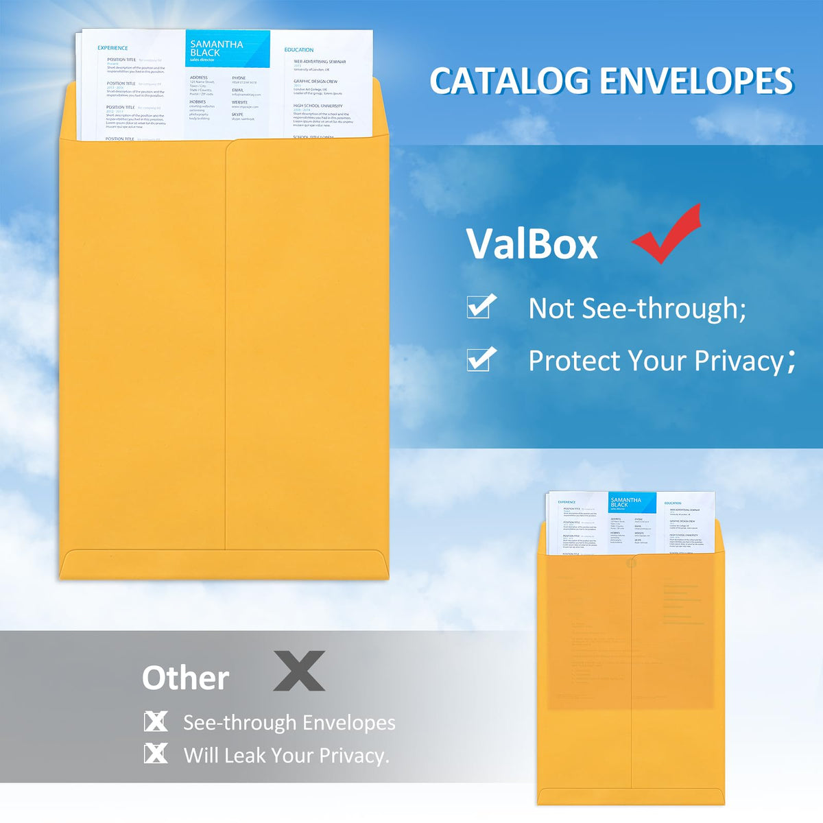 ValBox 9x12 Self Seal Security Catalog Envelopes 250 Packs Brown Kraft Envelopes with Peel and Seal Flap for Mailing, Organizing and Storage