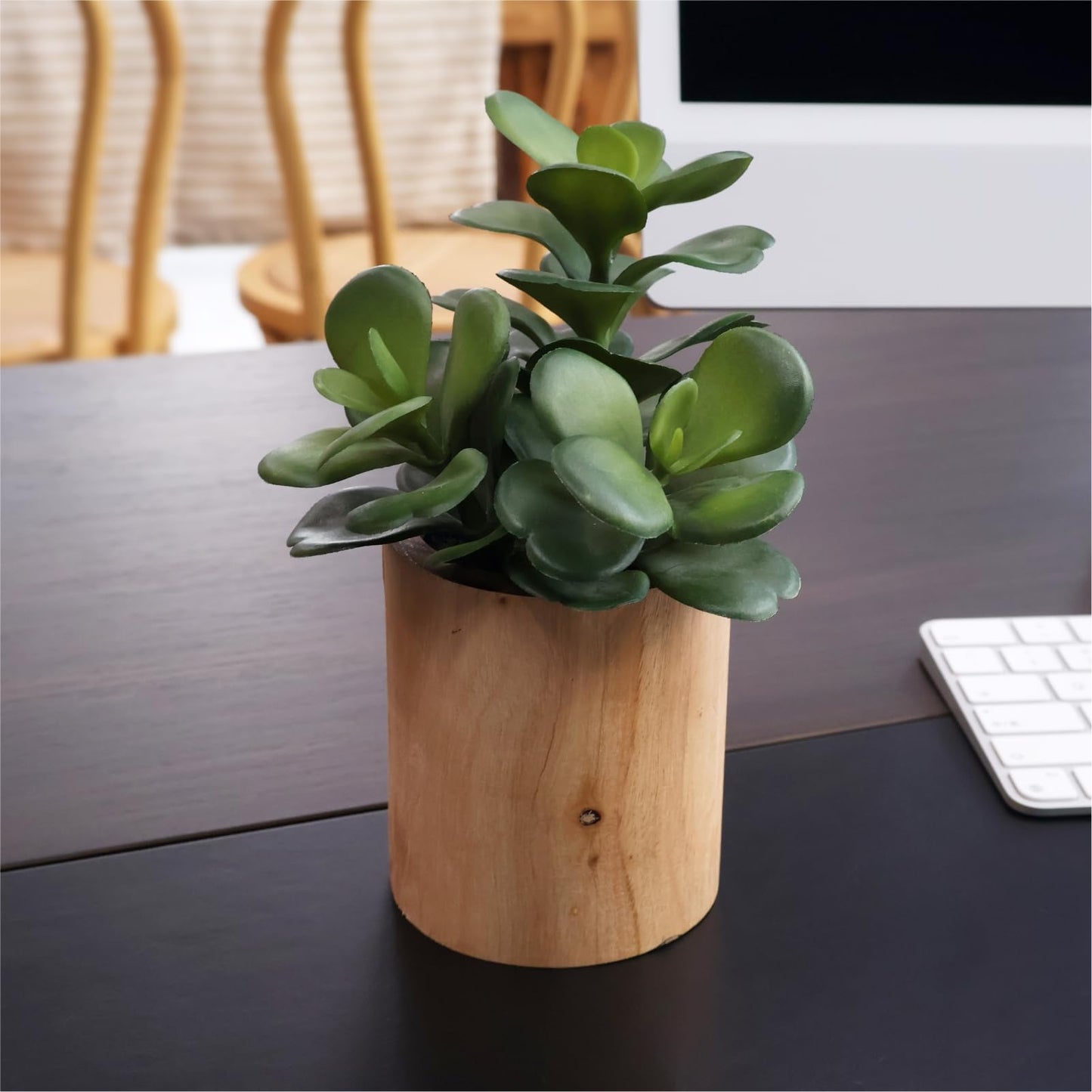 VINSUNI Artificial Succulents with Pots - Set of 3 Small Fake Plants for Aesthetic Room Decor - Realistic Mini Faux Greenery for Office Desk, Bookshelf, and Bathroom - Modern Home Accents