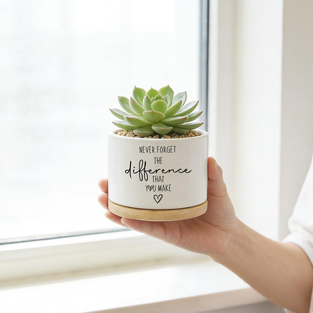 DOFAFALA Funny Planter Succulent Flower Pot, Flower Cactus Planter Gifts, Appreciation Inspirational Gifts for Plant Lovers Women Men Coworkers Home Office Decor (No Plants)