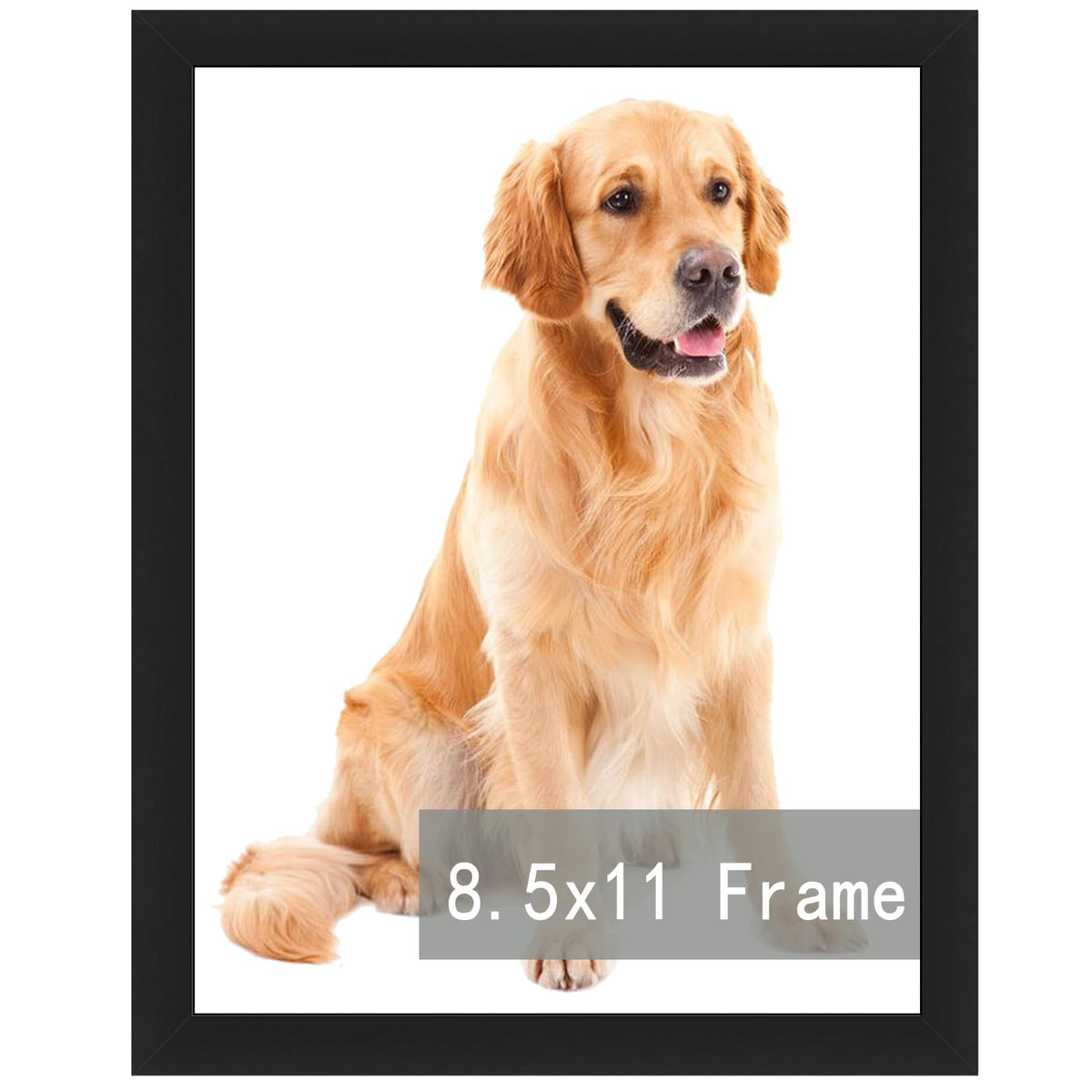 RUN HELIX 8.5x11 Picture Frame,Document Frame Certificate Frames Display Diplomas 8.5x11 Inch Standard Paper Frame with Stand Black Frame Wall and Tabletop Display