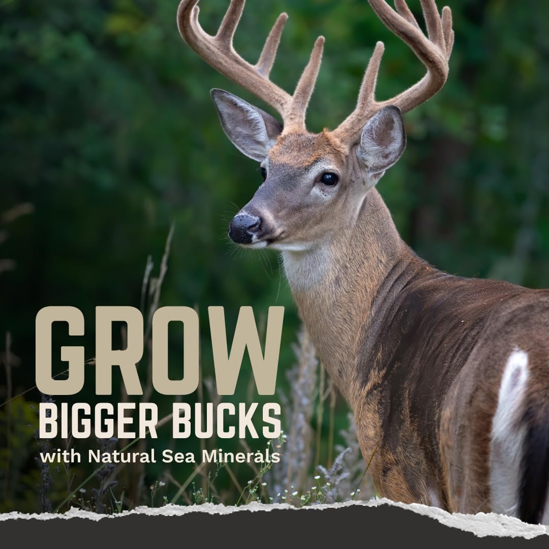 TROPHY ROCK Redmond All-Natural Mineral Rock/Salt Lick, Attract Deer and Big Game 12 pounds