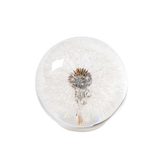 1st Heaven Dandelion Paperweight – Real Dandelion in Crystal Glass Ball, Unique Gift & Home Office Decor, Symbol of Luck, Hope, and Wishes for Birthday, Graduation, Wedding