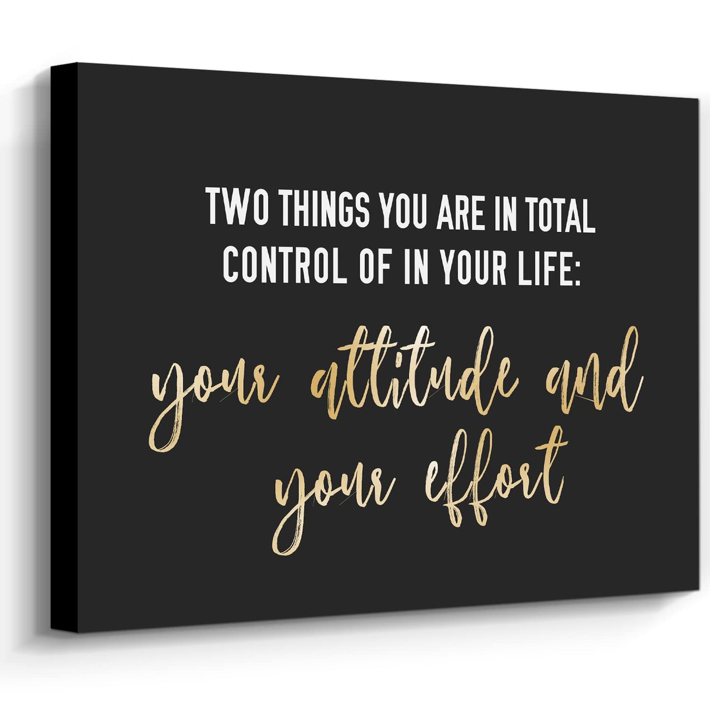 WOWGOOMO Entrepreneur Motivational Canvas Wall Art Inspirational Quotes Wall Art Control Your Attitude and Effert Canvas Print Framed for Home Office Workplace Classroom Bedroom Wall Decor 12"x16"