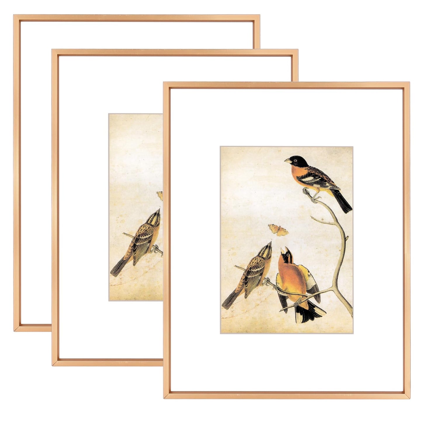 BKABOT 8.5x11 Picture Frame Set of 3, Gold Metal Photo Frames with HD Glass, Fits 5x7 with Mat or 8.5x11 without Mat, Wall Hanging and Table Display