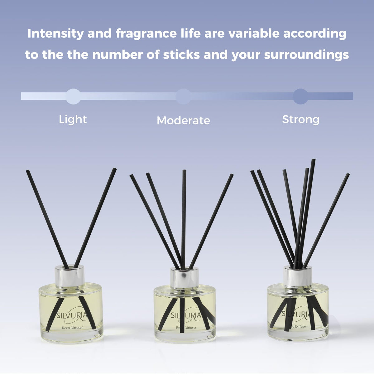 SILVURIA Reed Diffuser Set,2x100ml Bamboo Scented Oil Diffuser with 12 Reed Sticks,Long-Lasting Home & Office Fragrance for Living Room,Bedroom