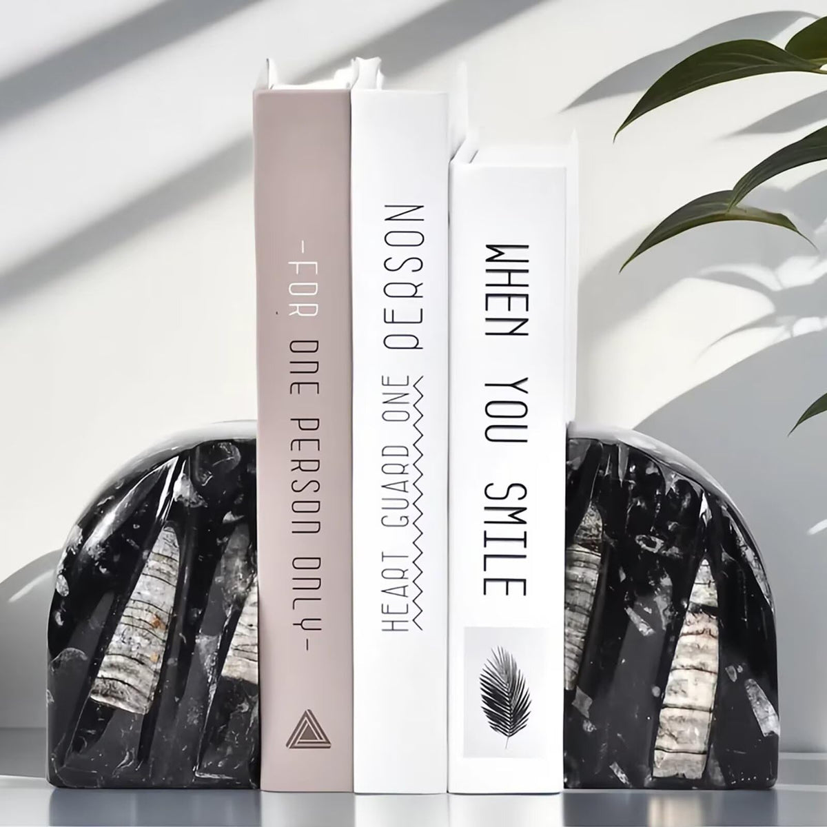 VIZYTOU Orthoceras Fossil Bookend Heavy Duty Stone Book End Decorative Book Holder 4-5 Pounds