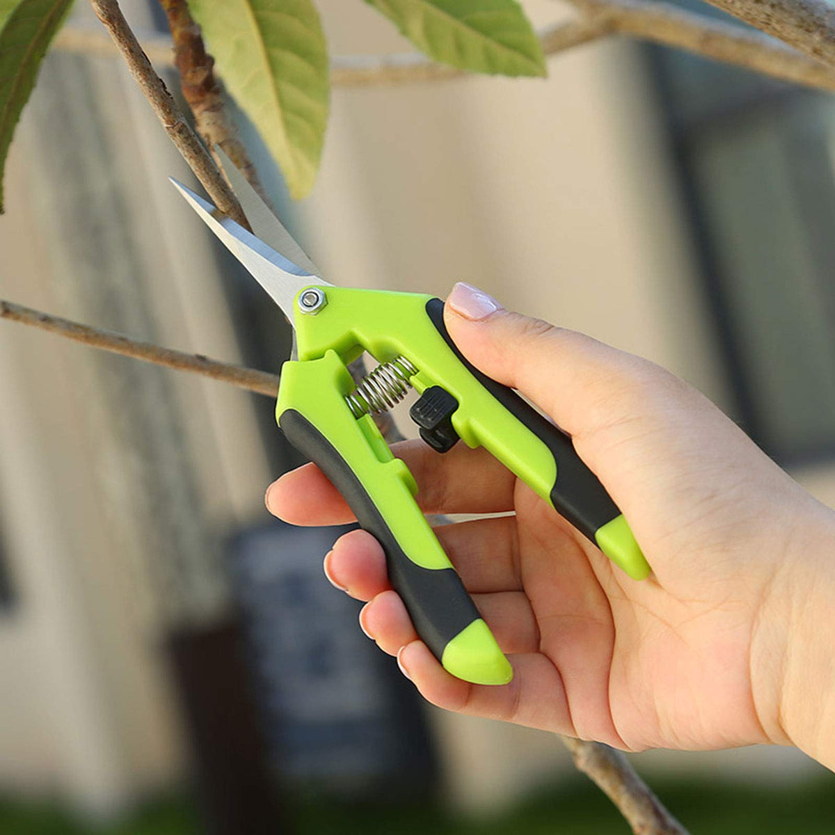 HAKZEON 10 Pack 6.5 Inch Professional Bud Trimming Scissors,Stainless Steel Micro-Tip Gardening Hand Pruners with Straight Blades, for Easy Pruning Garden Tree Pot Plant Flowers