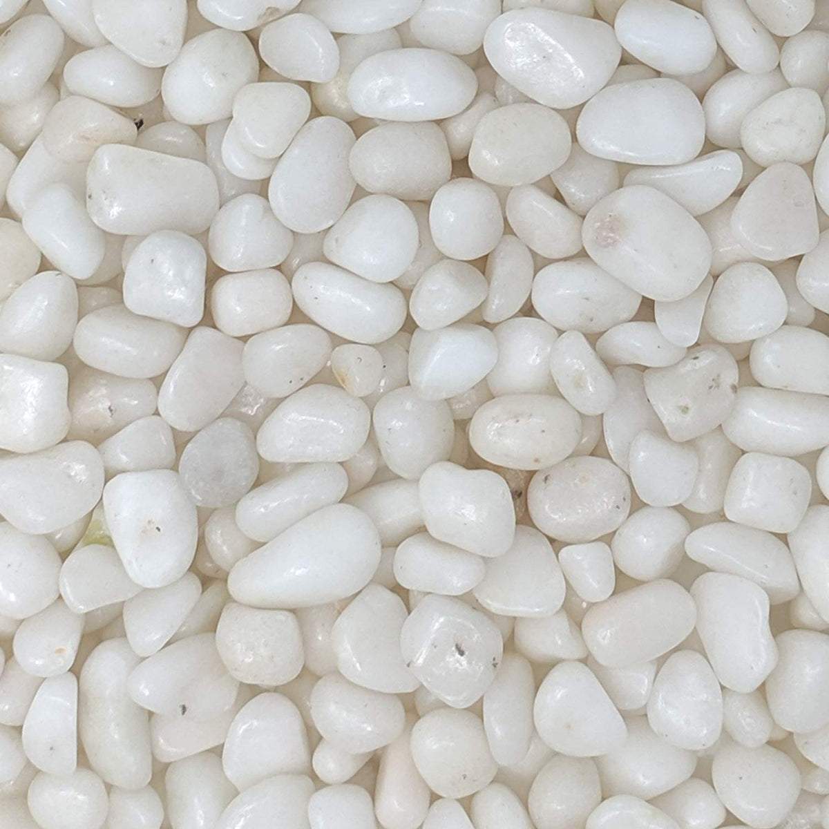 Midwest Hearth Decorative White Pebbles for Plants & Vase Filler | Polished Natural Stones | 3/8" Size (2-lb Bag)