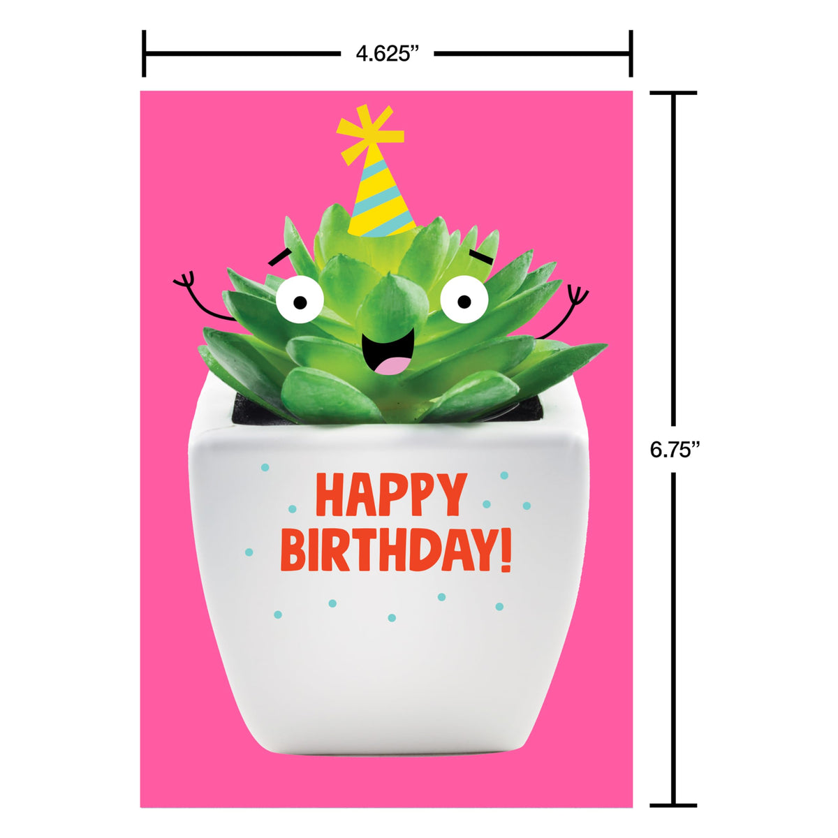 Recycled Paper Greetings 30-Count Funny Birthday Card Assortment with Envelopes, Seals, and Storage Box by Vicky Barone