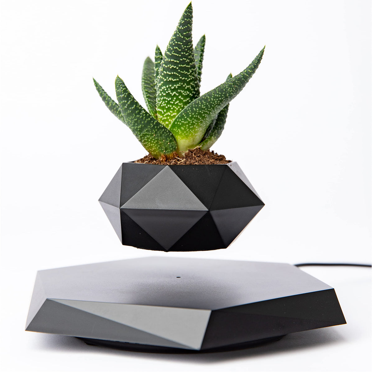 BandDlevs Floating Pots for Plants - Levitating Pot - Levitating Planter for Bonsai, Succulents, Air Plants - Floating Magnetic Display for Home Office Desks - Magnetic Levitation Plant Holder (Black)