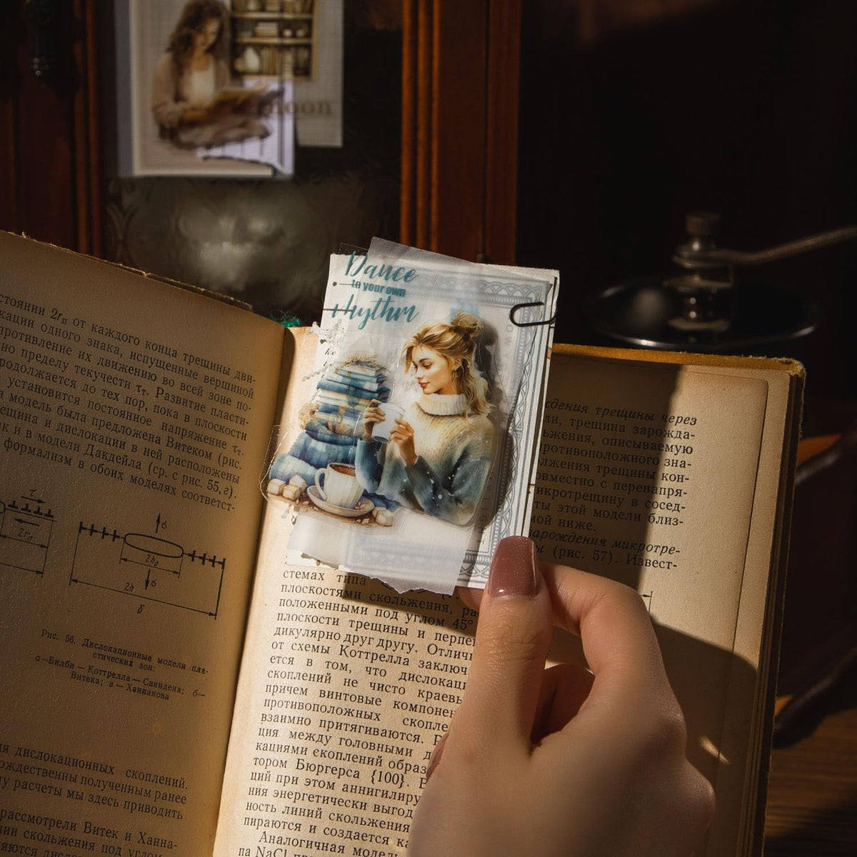 MiyouLuna 6 Pcs Reading Theme PET Scrapbook Tapes, Aesthetic Stickers for Journaling, Scrapbook Supplies, and Ephemera, with Decorative Clip