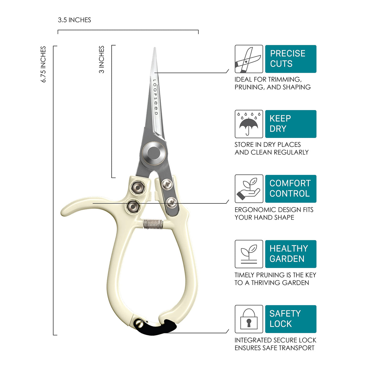 LOOPSEED Plant Pruning Shears Garden Trimming Scissors Precision Hand Pruner Herb Snips Flower Clippers Bonsai Trimmers Straight Sharp Blade Tapered Tip Ergonomic Handle Garden Tools (Classic Cream)