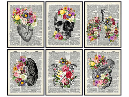 Vintage Human anatomy Poster Set LARGE 11x14 - Floral Wall Art for Medical Student, Physician - Retro Wall Decor for Hospital, Clinic, Doctor Office - Unique Gift for ER Nurse, Shabby Chic Decor