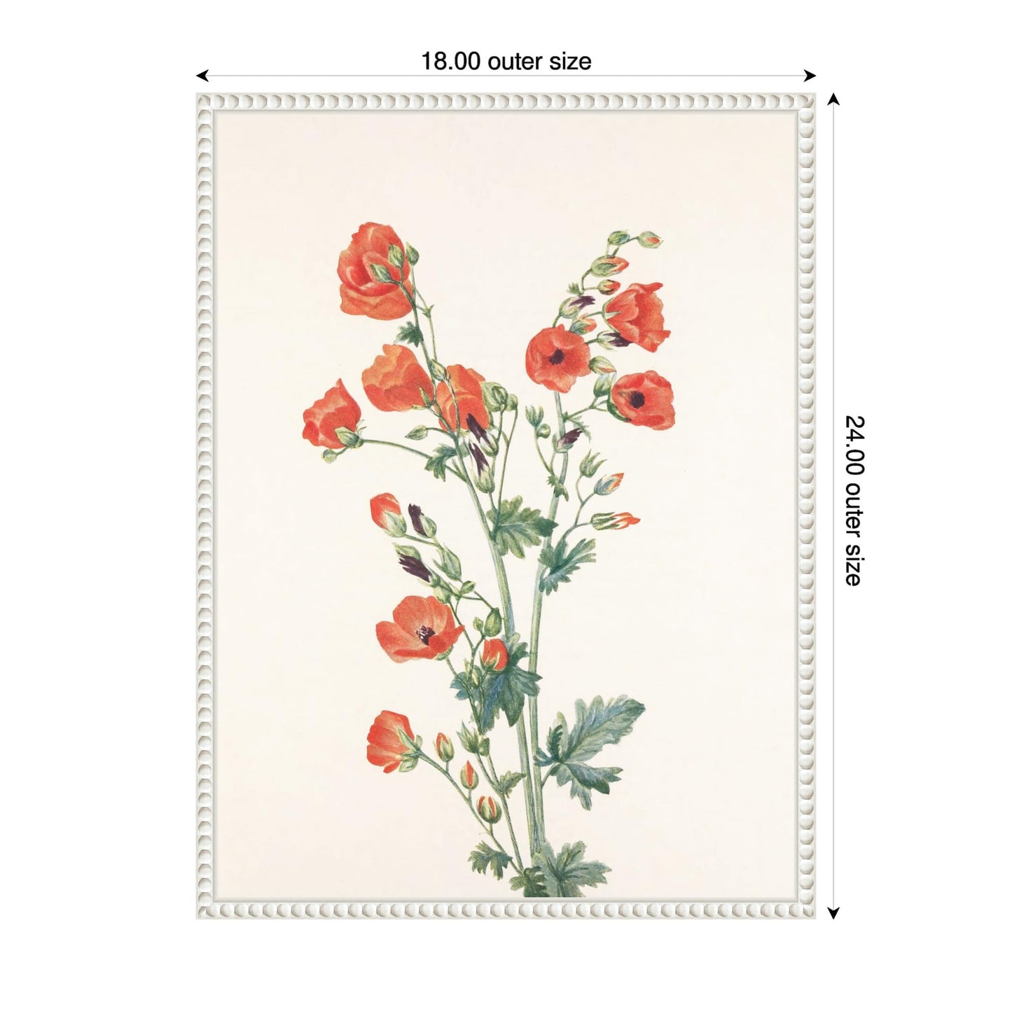 Amanti Art Framed Canvas Wall Art 24x18 Scarlet Globe Mallow (1925) Framed Wall Art Canvas, Flowers Artwork, Traditional Decor, Medium Poster for Living Room, Bedroom, Bathroom, Kitchen, Office