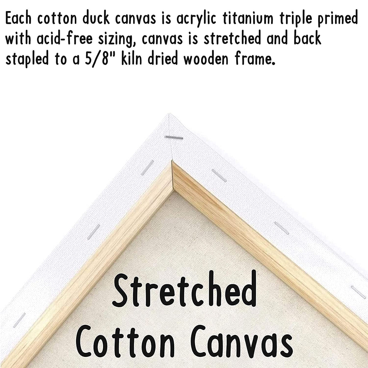 Indigo Art Studio Pre Drawn Canvas Painting for Adults Kids| Stretched & Stenciled | Art Activity | Roller Skates Coloring | DIY Birthday Gift & Adult Sip and Paint With Twist Party (8x10 Inches)