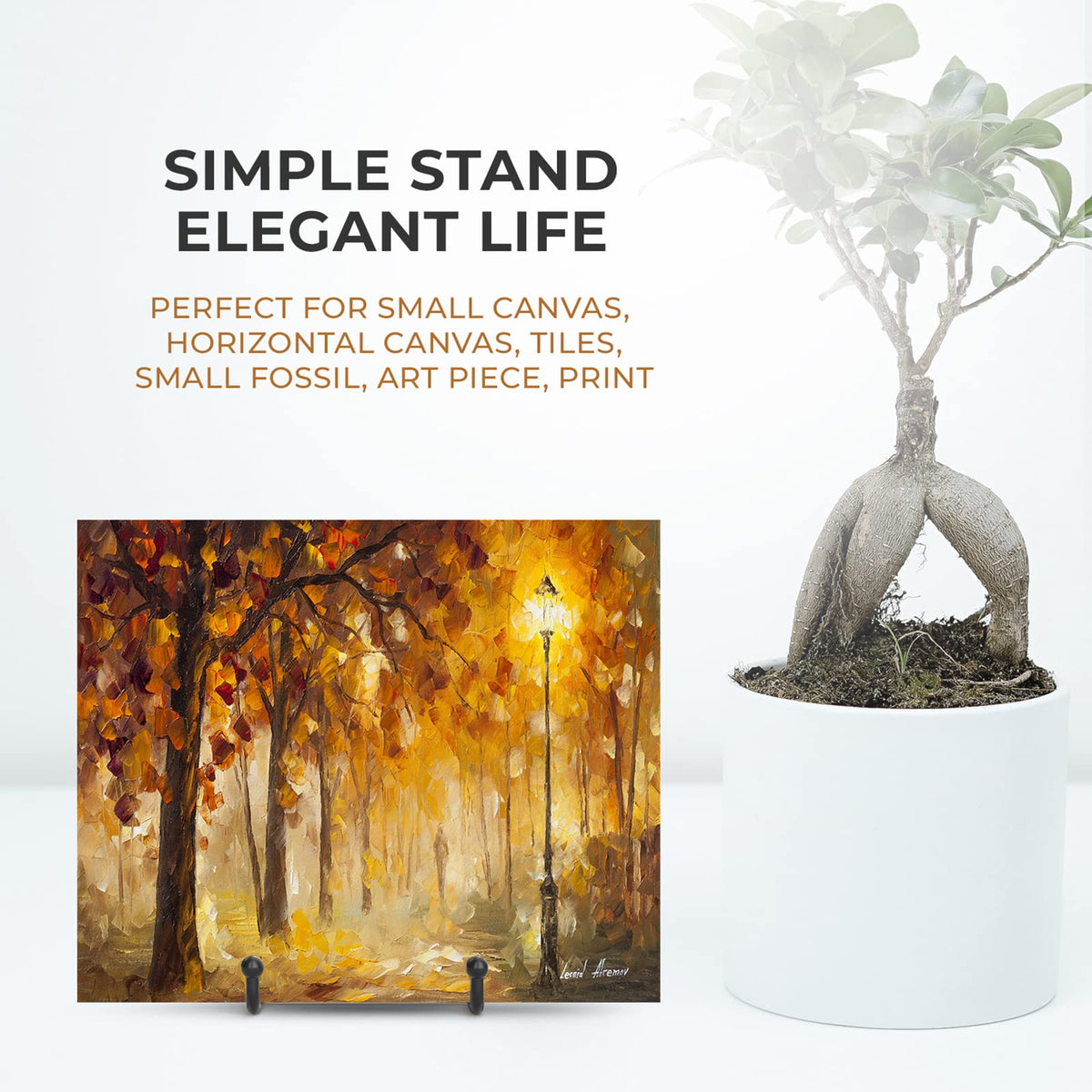 TR-LIFE 4 Pack 3 Inch Small Display Stands - Plate Holder Stand for Picture Frame, Book, Photo Easel (Black)