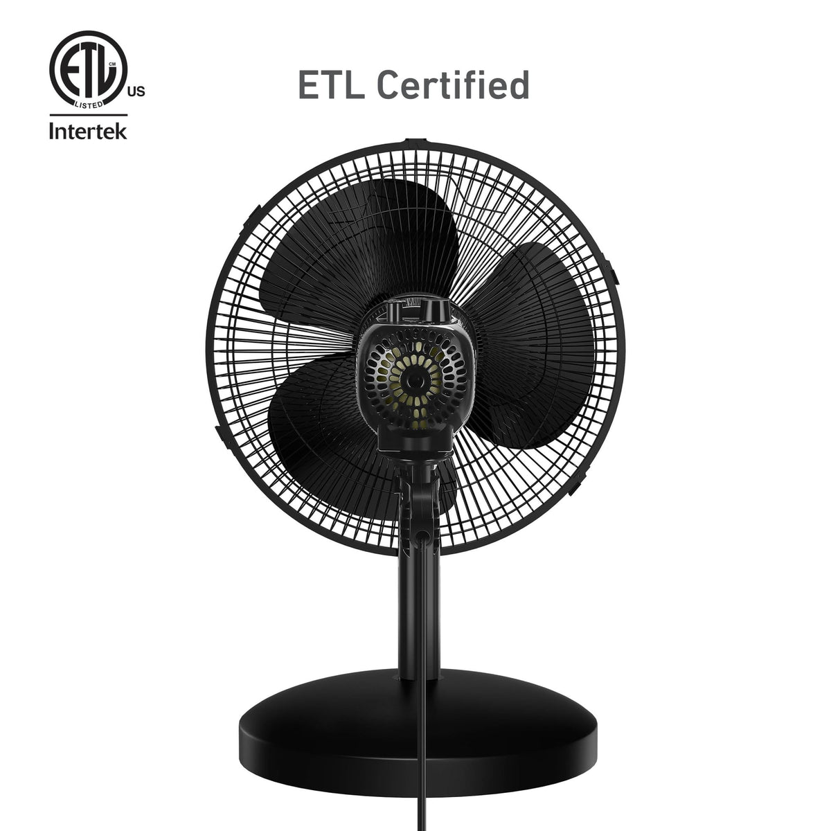 Holmes 12 Inch Oscillating Table Fan 3 Speeds 75 Degree Wide Angle Oscillation Adjustable 15 Degree Tilt Quiet Operation Home Office Bedroom Kitchen Black