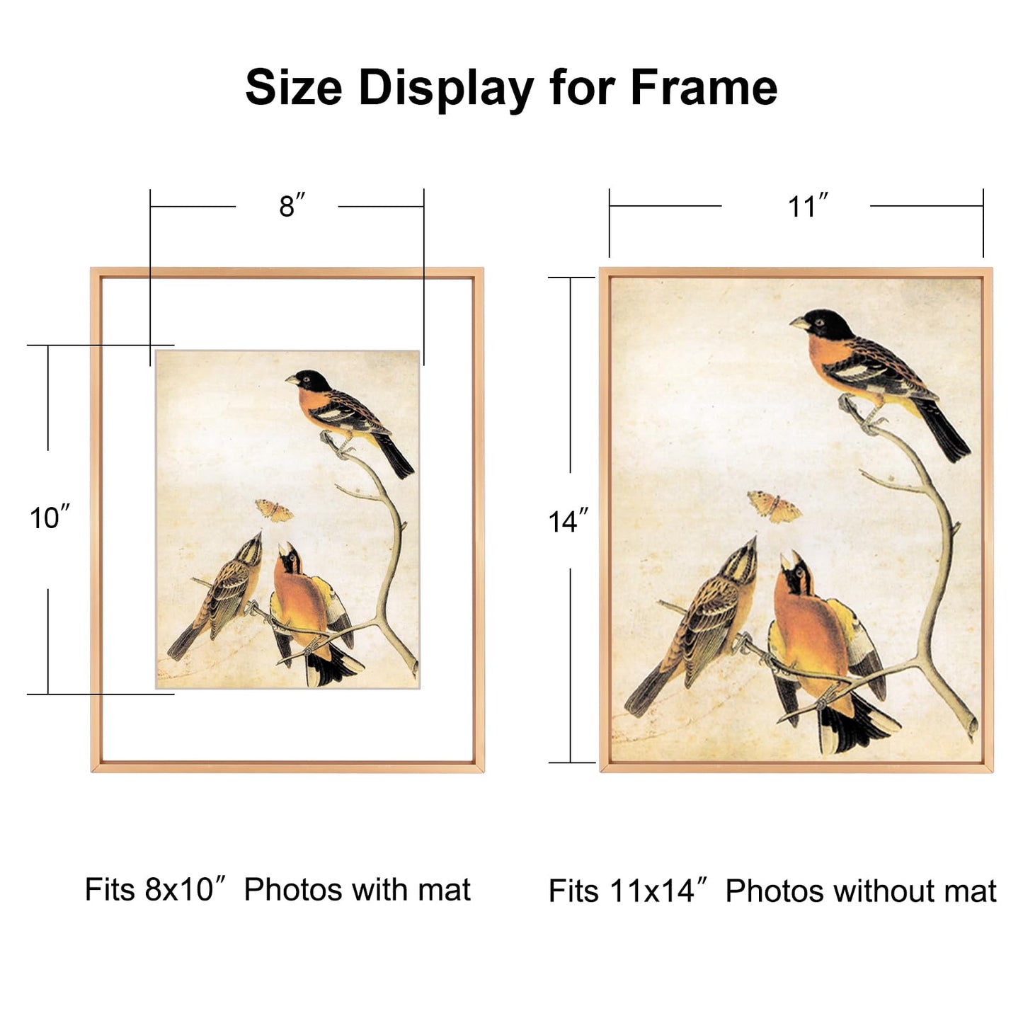 BKABOT 11x14 Picture Frame Set of 3, Gold Metal Photo Frames with HD Glass, Fits 8x10 with Mat or 11 x 14 without Mat, Display for Wall