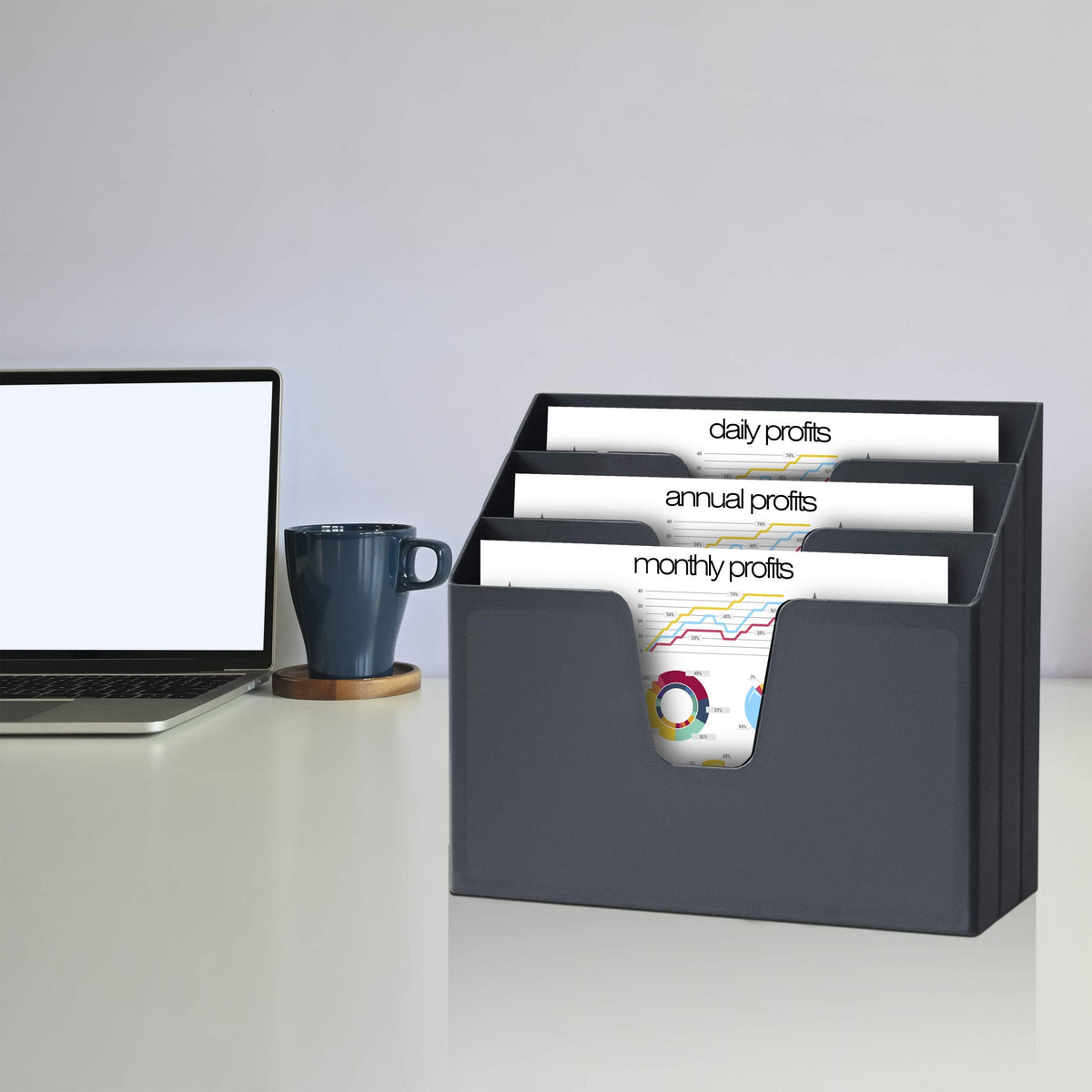 Acrimet Horizontal Triple File Folder Holder Organizer, Open Top Desktop Document Sorter for Letter Size Papers & Folders, Plastic (Black)