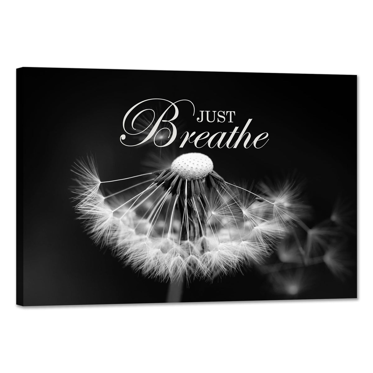 SKASNFAI Zen Wall Art Just Breathe Canvas Picture Positive Inspirational Dandelion Framed Artwork Poster Mental Health Office Pictures Wall Decor for Bathroom (12L x 16W)