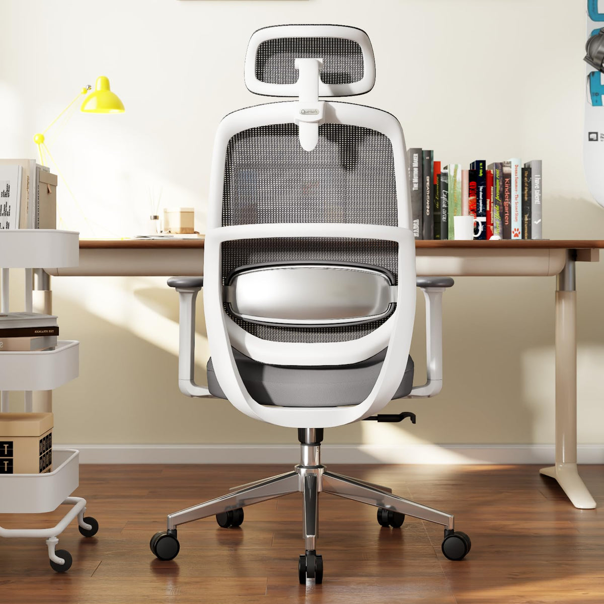 QuelSoft Ergonomic Office Chair, Home Office Desk Chairs, 3D Lumbar Support High Back Desk Chair, Comfortable Computer & Gaming Chair for Office & Home - Silver