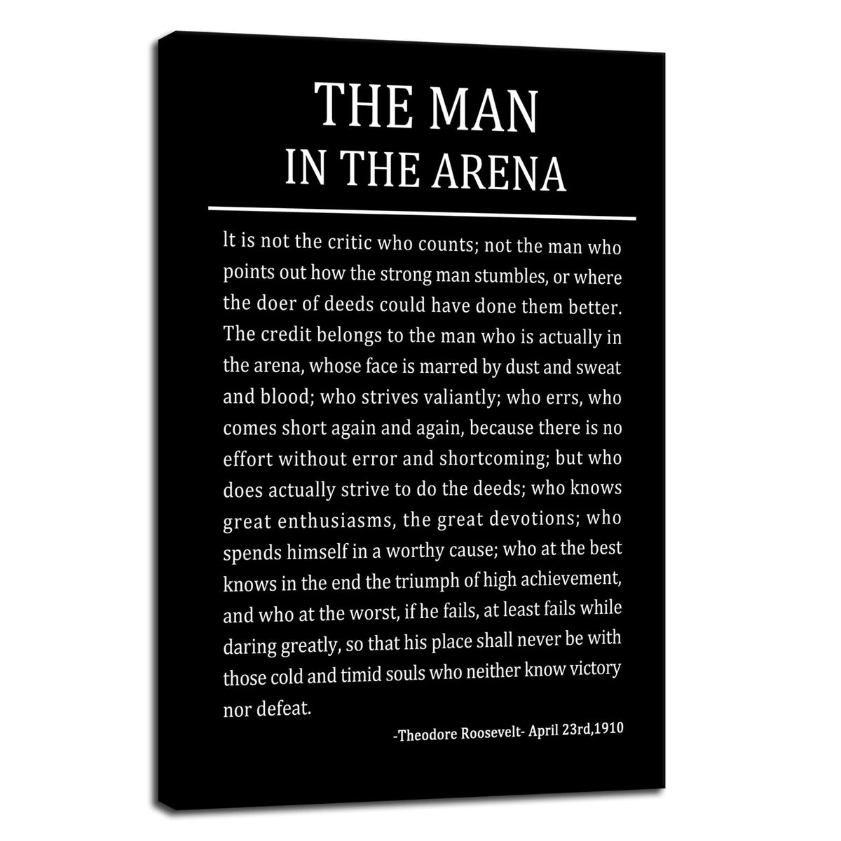The Man In The Arena Inspirational Canvas Wall Art Motivational Positive Poster Quotes Canvas Prints Artwork for Living Room Office Home Decor Painting Stretched and Framed [12''Wx 18''H]