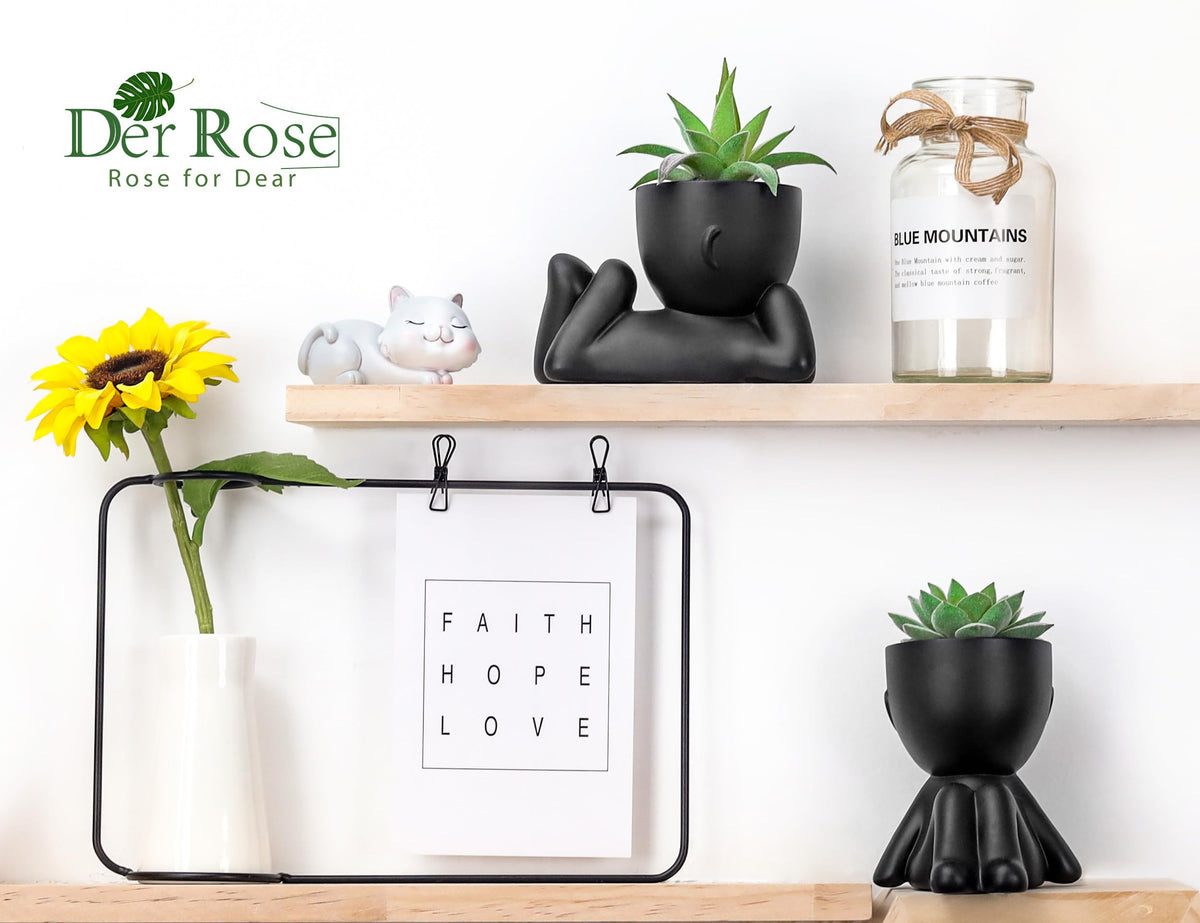 Der Rose Set of 2 Fake Plants Artificial Succulent Plants for Office Desk Accessories Black Bathroom Home Room Aesthetic Decor Indoor