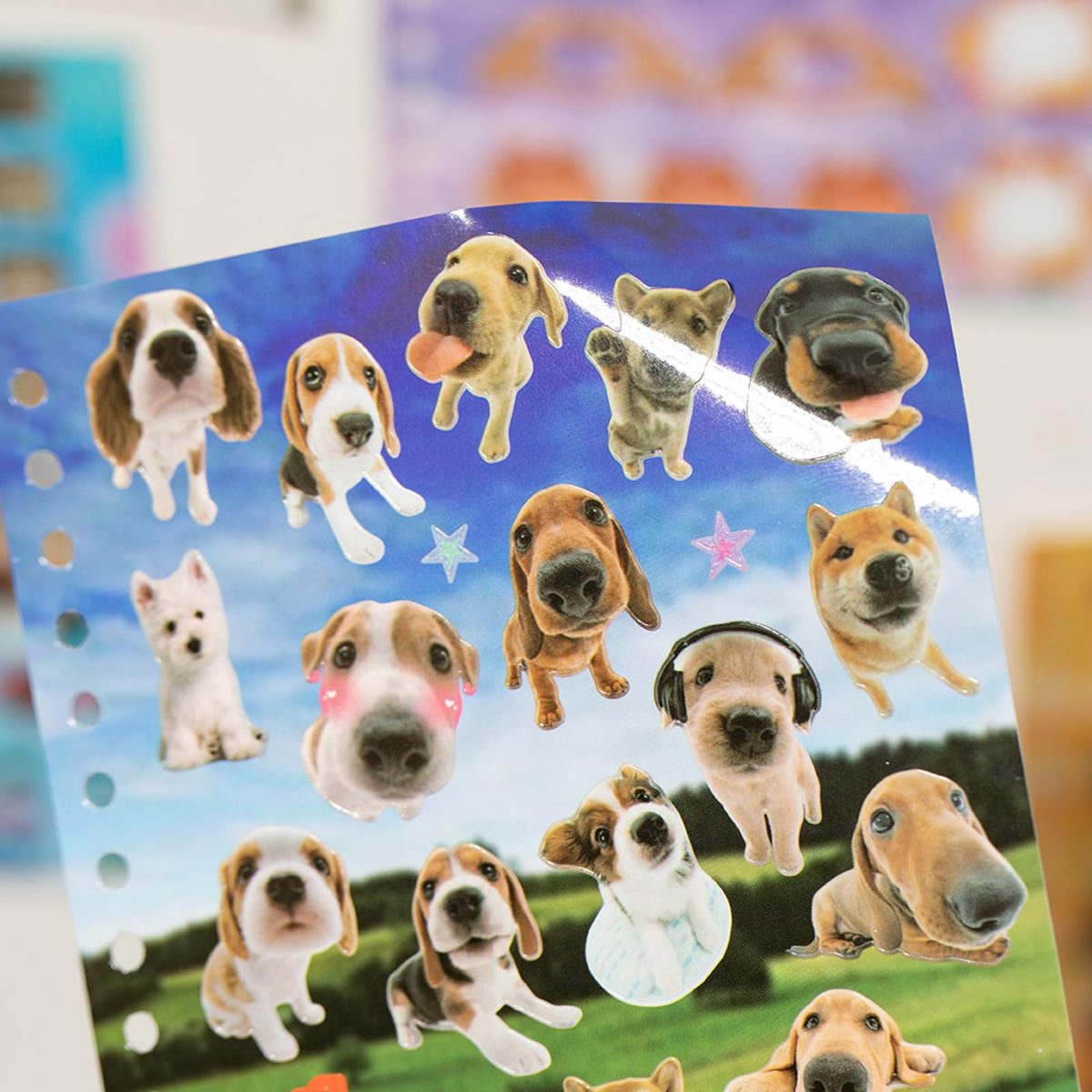 ZHIJIANHZ Dog Sticker Book with Meme Stickers 30 Pages Over 800 Die Cut Stickers with 3 Coating Types for Scrapbook Journal and Planner Sticker Album with Premium Art Paper and Cute Design
