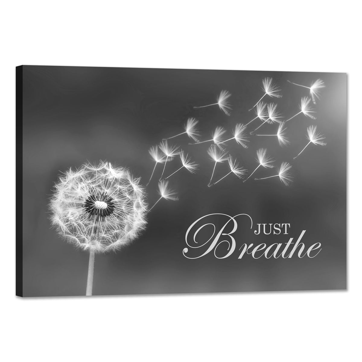 SKASNFAI Black and White Dandelion Zen Wall Art Canvas Just Breathe Motivation Positive Picture Art Print for Spa Yoga Meditation Wall Decor Ready to Hang (12L x 16W)