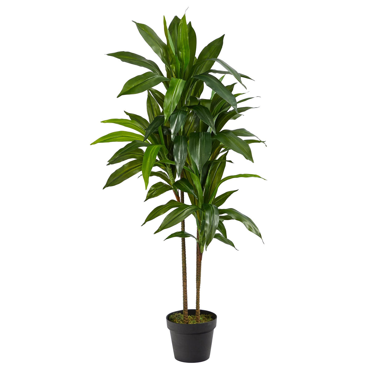 Nearly Natural 48in Artificial Dracaena with Real Touch Leaves and Multi Tonal Trunks, Large Indoor Silk Plant with Pot, Maintenance Free For Living Room And Home Office Decor