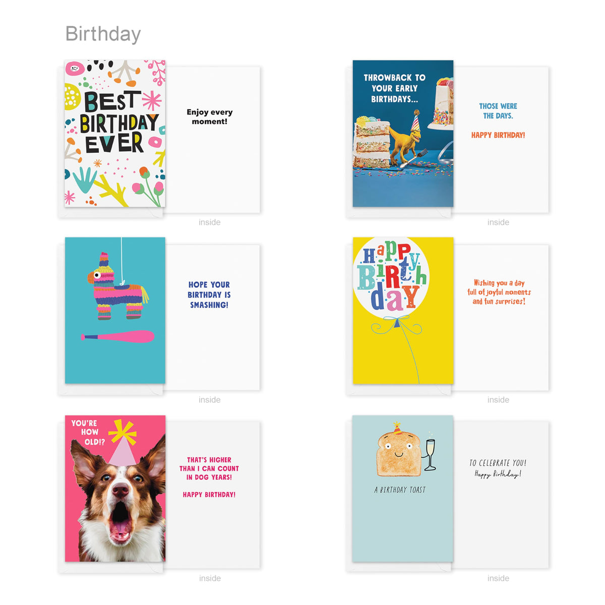 Recycled Paper Greetings 30-Count Funny Birthday Card Assortment with Envelopes, Seals, and Storage Box by Vicky Barone