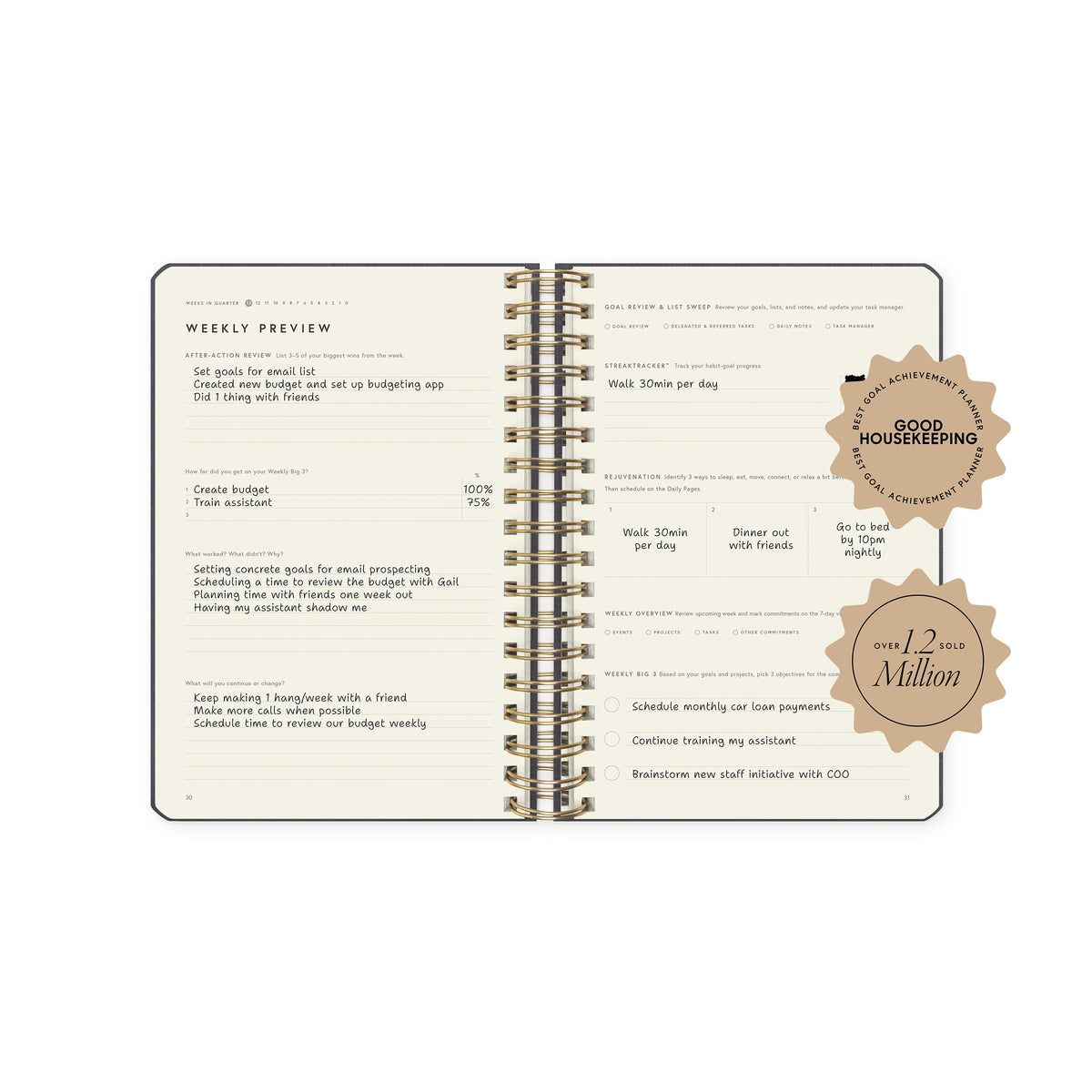 Full Focus Leather Coil Planner by Michael Hyatt - The #1 Daily Planner to Set Annual Goals, Increase Focus, Eliminate Overwhelm, and Achieve Your Biggest Goals - Hardcover (Gray)